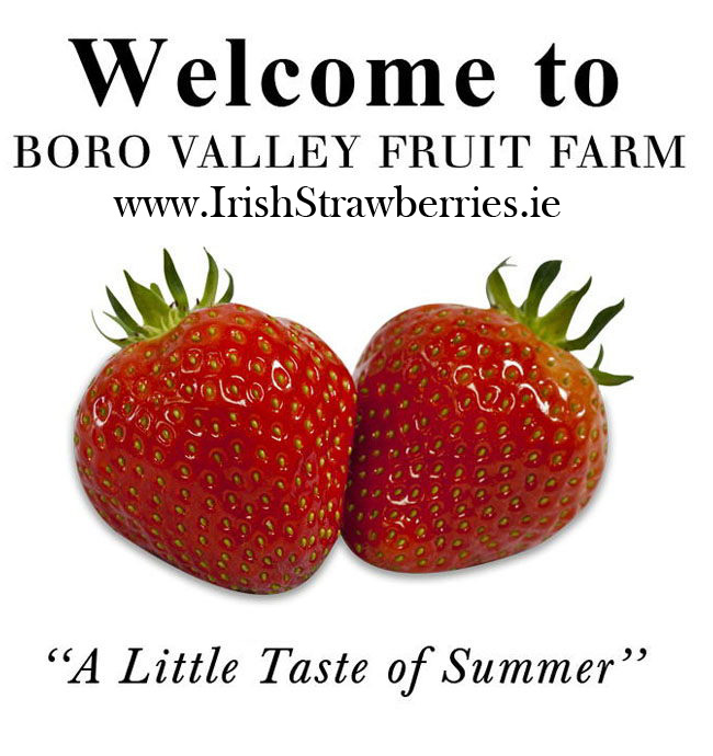 Welcome to Boro Valley Fruit Farm - The Home of the Wexford Stawberry