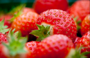 View The Strawberry Dishes Album